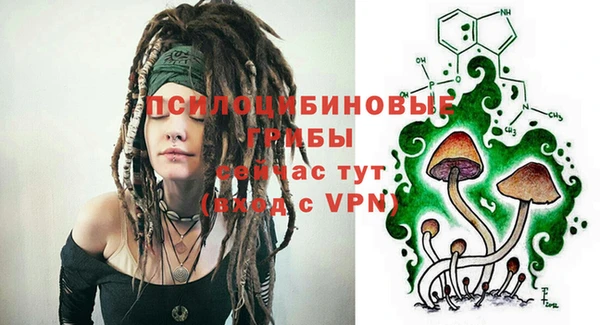 ешки Осташков